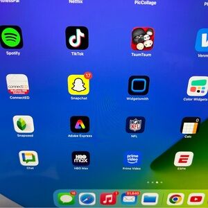 Apple iPad Pro 4th Generation with TikTok